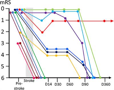 Long-Term Clinical Outcome and Prognosis After Thrombectomy in Patients With Concomitant Malignancy